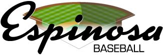 Espinosa Baseball logo black
